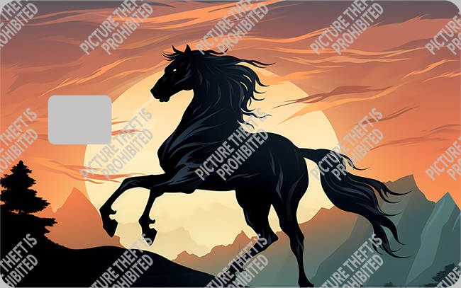 Bank  Card Sticker-BC-2295